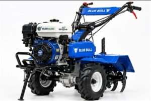 BLUE BULL