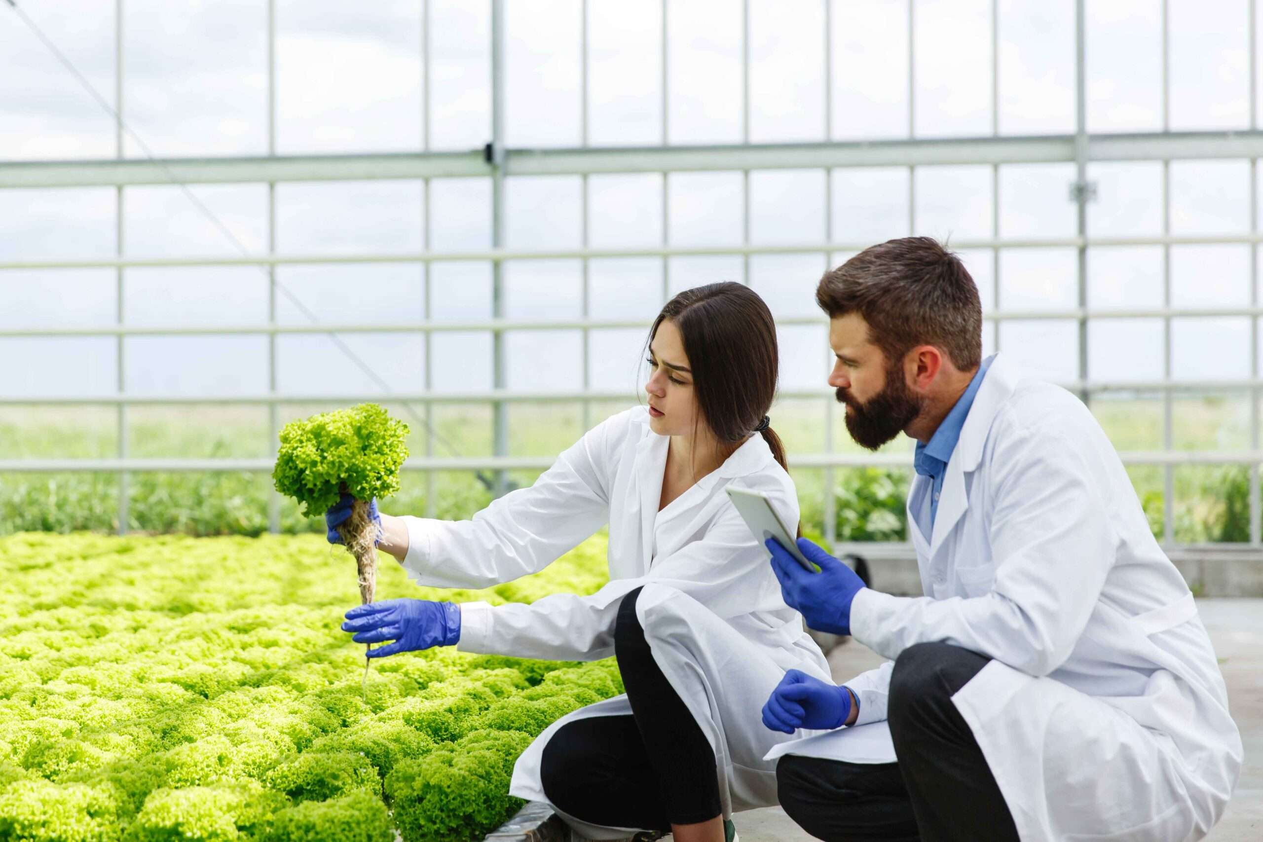 Agricultural Universities